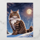 Recherche de chat sibérien cartes postales Chats sibériens