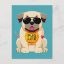 Recherche de chien carlin cartes postales Animaux de compagnie