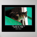 Recherche de meow de chat Amitié