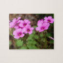 Zoek naar plantkundige puzzels Fotografie
