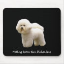 Recherche de bichon tapis souris Frise de bichon