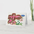 Zoek naar coleus posters Floreel