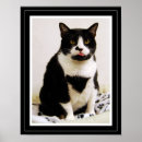 Recherche de smoking art Chat