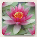 Recherche de lotus dessous de verres Spiritualité