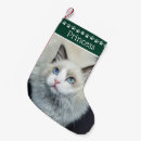 Zoek naar cat kerstsokken Foto