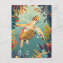 Recherche de tortues cartes postales Littoral