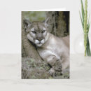 Recherche de puma vœux cartes Panthère
