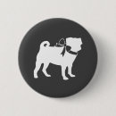 Recherche de chiot carlin badges Bébé