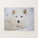 Recherche de renard blanc puzzles Faune
