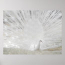 Recherche de décorez posters Pièce