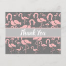 Zoek naar leuke flamingo briefkaarten Roze