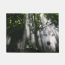 Recherche de loup de brosse Animal sauvage