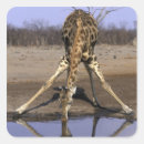 Recherche de animaux marais autocollants Nature
