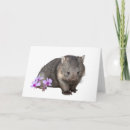 Zoek naar wombats kaarten Australië