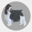 Zoek naar engel stickers Engelse springer spaniel