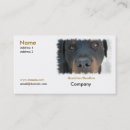 Recherche de rottweiler cartes visite Canin