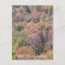 Recherche de foliage cartes postales Feuille