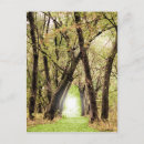 Recherche de bois naturel cartes postales Vert