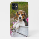 Recherche de chiot de beagle iphone coques Drôle