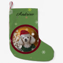 Recherche de caniche chaussette de noël Chien