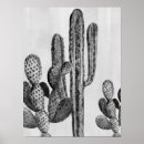 Recherche de cactus noir blanc art Plante