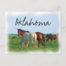 Zoek naar wild paarden briefkaarten Land