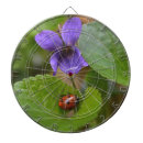 Recherche de coccinelle jeux de fléchettes Insecte