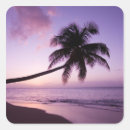 Recherche de cocotiers autocollants Vacances