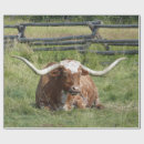 Zoek naar cow cadeaupapier Vee