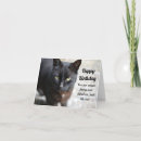 Recherche de joyeux anniversaire chat noir Animal