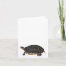 Recherche de terrapin vœux cartes Mer