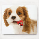 Recherche de parties du corps tapis souris Tir de studio