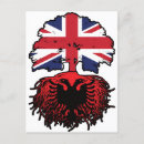 Recherche de drapeau albanais cartes postales Fierté albanaise