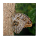 Zoek naar butterfly tegels Dier