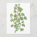 Recherche de ivy cartes postales Plante