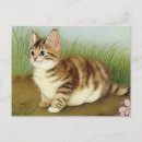 Recherche de chaton vintage cartes postales Fleurs