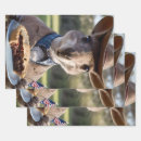 Recherche de kangourou papier cadeau Drôle