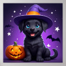 Recherche de sorcière mignonne posters Pour enfants