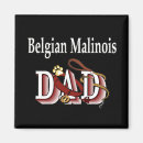 Recherche de malinois magnets Chien