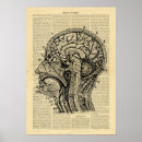 Recherche de anatomique posters Graphique