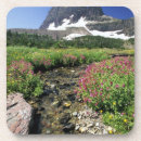 Zoek naar noord amerika onderzetters Np