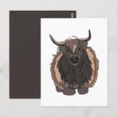 Recherche de taureaux cartes postales Illustration