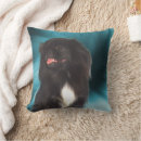 Recherche de chien art coussins Animal