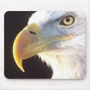 Recherche de aigle tapis souris États unis