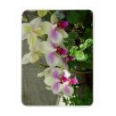 Recherche de orchidee magnete Pour elle