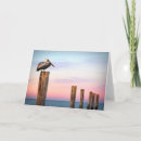 Recherche de pili cartes postales La floride