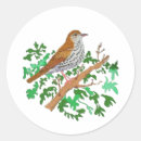 Zoek naar bruine vogel stickers Vleugels