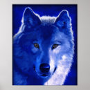 Recherche de loup bleu posters Sauvage