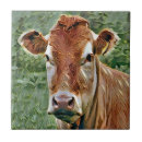 Recherche de cow carreaux Animaux