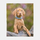 Zoek naar vizsla dekens Puppy